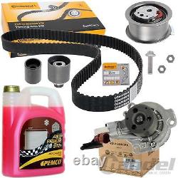 Conti Kit Courroie de Distribution + Audi VW Pompe + 5L Golf 7 T6 Passat 3G A3