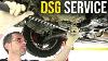 Don T Overpay For A Dsg Service And How To Do It Yourself On Your Vw Audi